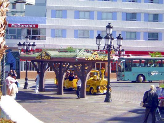 Apartamento Renovado, Frente A La Playa, Con Garaje Apartment Puerto de la Cruz  Exterior foto