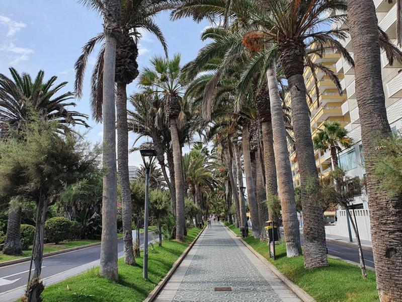 Apartamento Renovado, Frente A La Playa, Con Garaje Apartment Puerto de la Cruz  Exterior foto